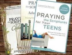 Praying the Scriptures series book covers