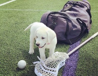 Minnie and lacrosse