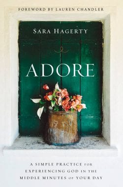 Adore Book Cover