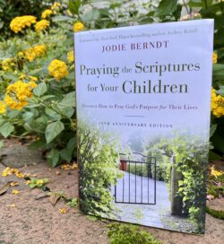 Book by Jodie Berndt with foreword by Audrey Roloff