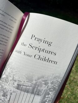 Teach Children to Pray Section in book