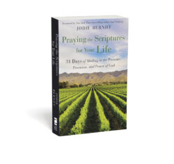 Praying the Scriptures for Your Life book