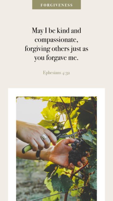 Day 5 Prayer: Forgiveness