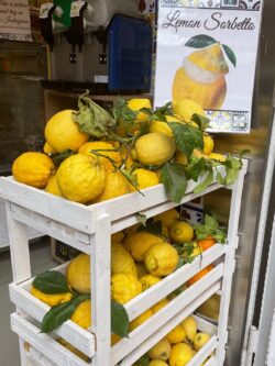 Lemons in Italy