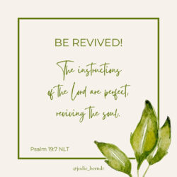 God's instructions revive our weary soul (Psalm 19:7)