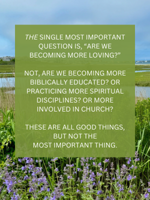 Are we becoming more loving? (words with marsh background)